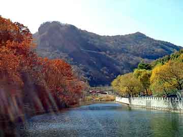 澳彩资料免费长期公开，雪莲花治什么病